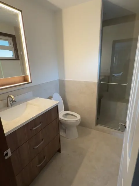 A finished bathroom renovation — double-door vanity, mirrored cabinet, glass shower beyond.