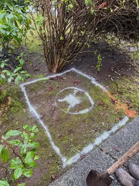 A dig zone marked out with locate paint on a lawn before excavation starts.