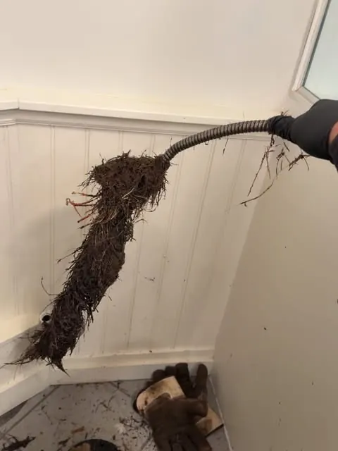 Root intrusion pulled back up a drain line during clearing — a real line-clearing job, not a stock photo.